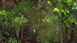 Storms bring flooding to parts of South Carolina