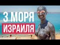 3 моря Израиля  Куда съездить отдохнуть в Израиле.