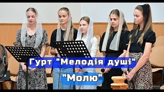 Гурт 