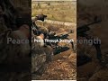 Peace Through Strength #training #military #usa #soldier #shotsvideo
