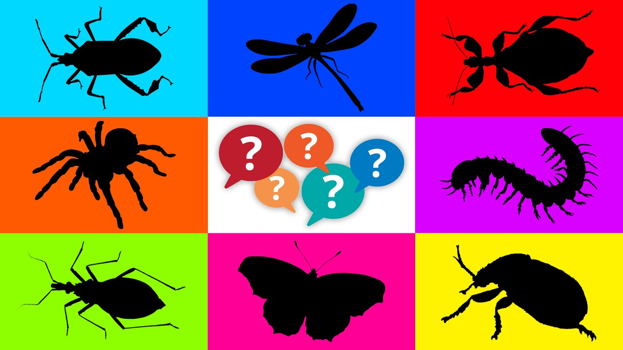 Insect: Kissing bug, Footed Bug, Leaf Insect, Tarantula, Leaf Beetle, Millipede, Dragonfly,  Hamster