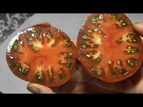 Video: Kryddig Tomatbönsoppa