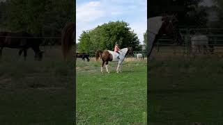 In Case You Ever Wondered Our Philosophy On Horses Pooping While Riding Was, Here You Go.