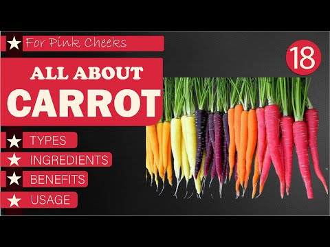Health Benefits of Carrot | Ingredients and Usage of Carrots