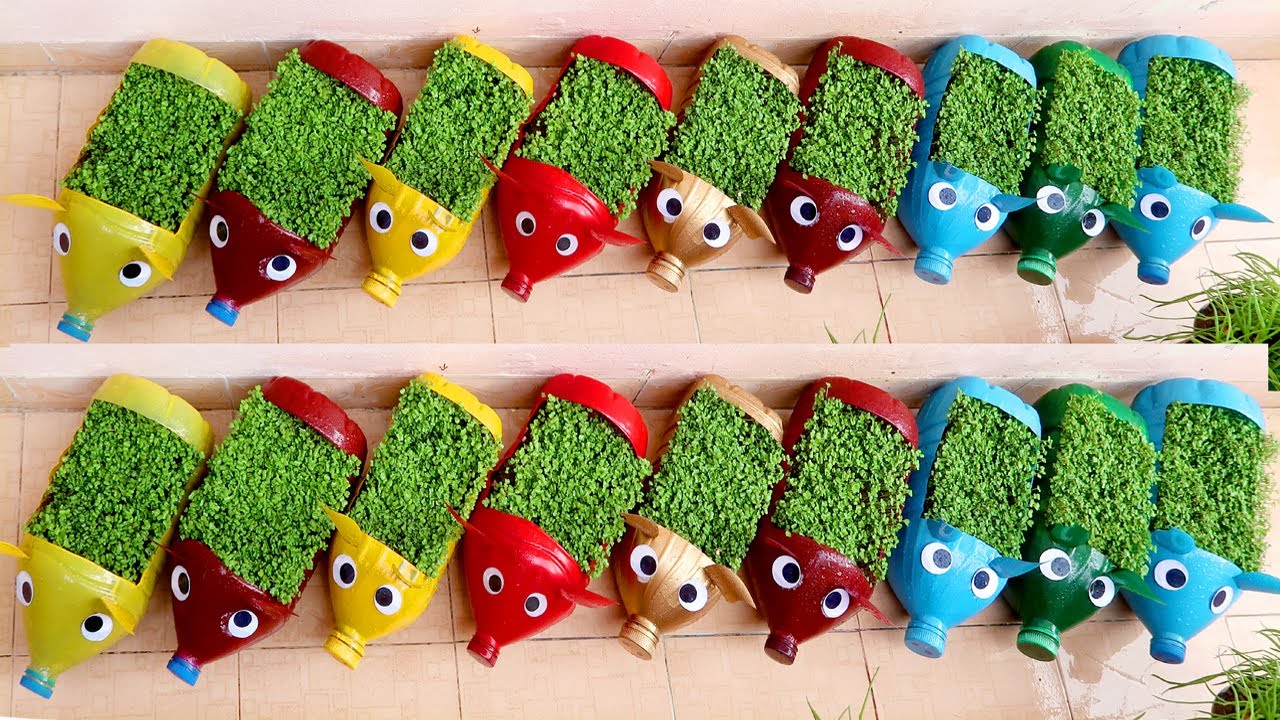 Amazing Garden ideas Using Old Plastic Bottles, Great Idea for Small Garden