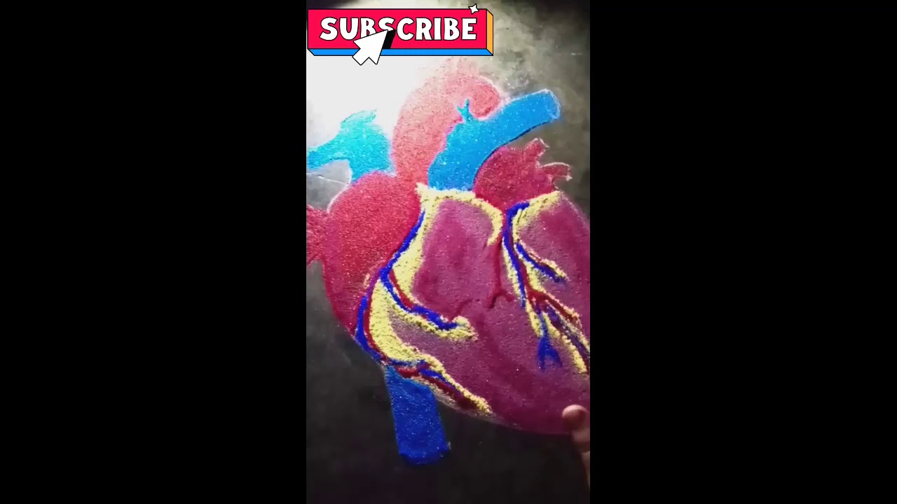Human Heart Rangoli...❤️