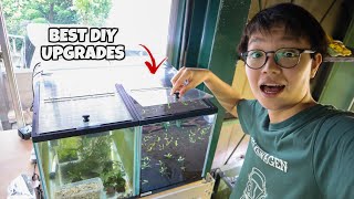 Updates on MY AQUARIUMS!! Easy Flip Lid For your Fish Tank