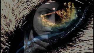 Watch Of The Wand  The Moon Like Wolves video