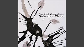 An Orchestra of Wasps Conducts the Wind