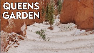 Hiking Queens Garden to Navajo Loop in Bryce Canyon National Park