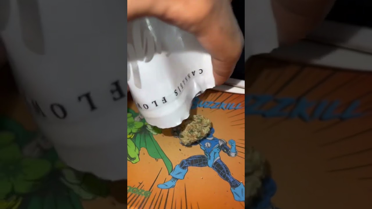 Jungle Boys motor breath🔥😶‍🌫️