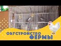 ОБУСТРОЙСТВО МОЕЙ ФЕРМЫ | ПОИСК ЗЕМЛИ ПОД ФЕРМУ НА СЕВЕРНОМ КИПРЕ