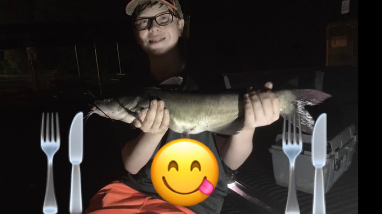 How to fillet a catfish! YouTube