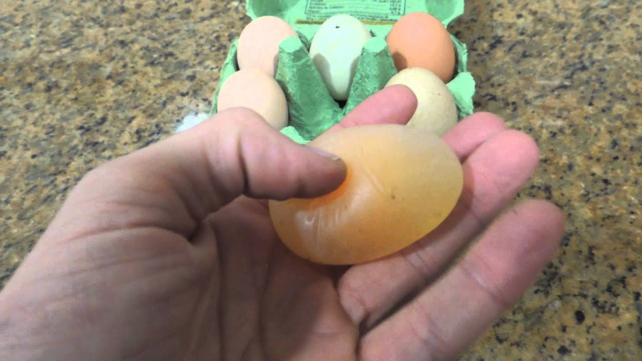 Huevo sin cascara YouTube