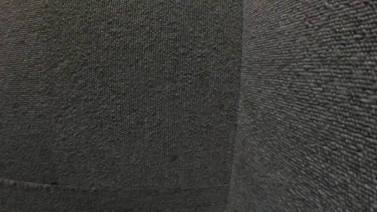 【新潟】新潟駅から本日の会場Live Hall GOLDENPIGS - BLACK STAGE -へGoProストリームおじさんのVlog チャンネル配信！