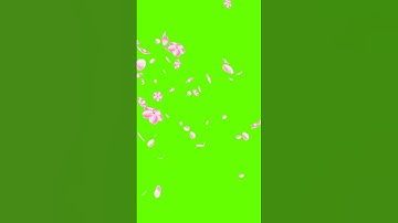 Flowers green screen effects