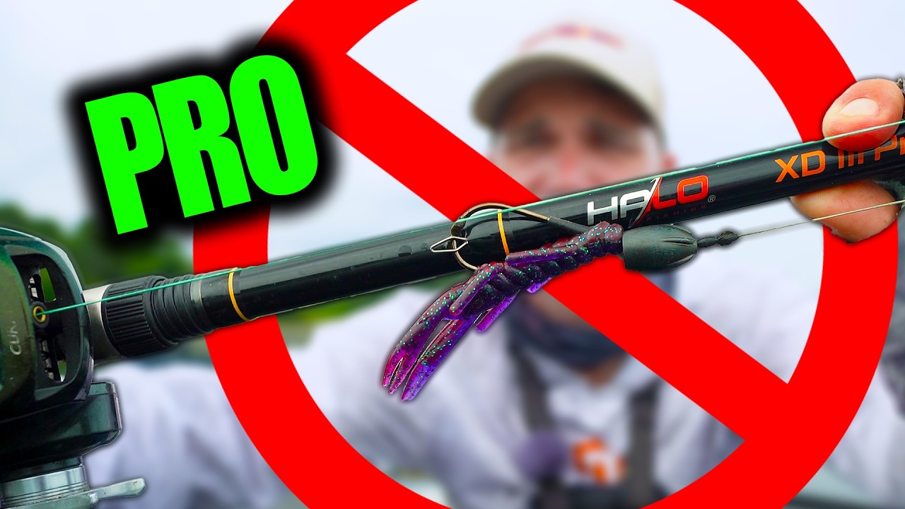 The PROS will NEVER 