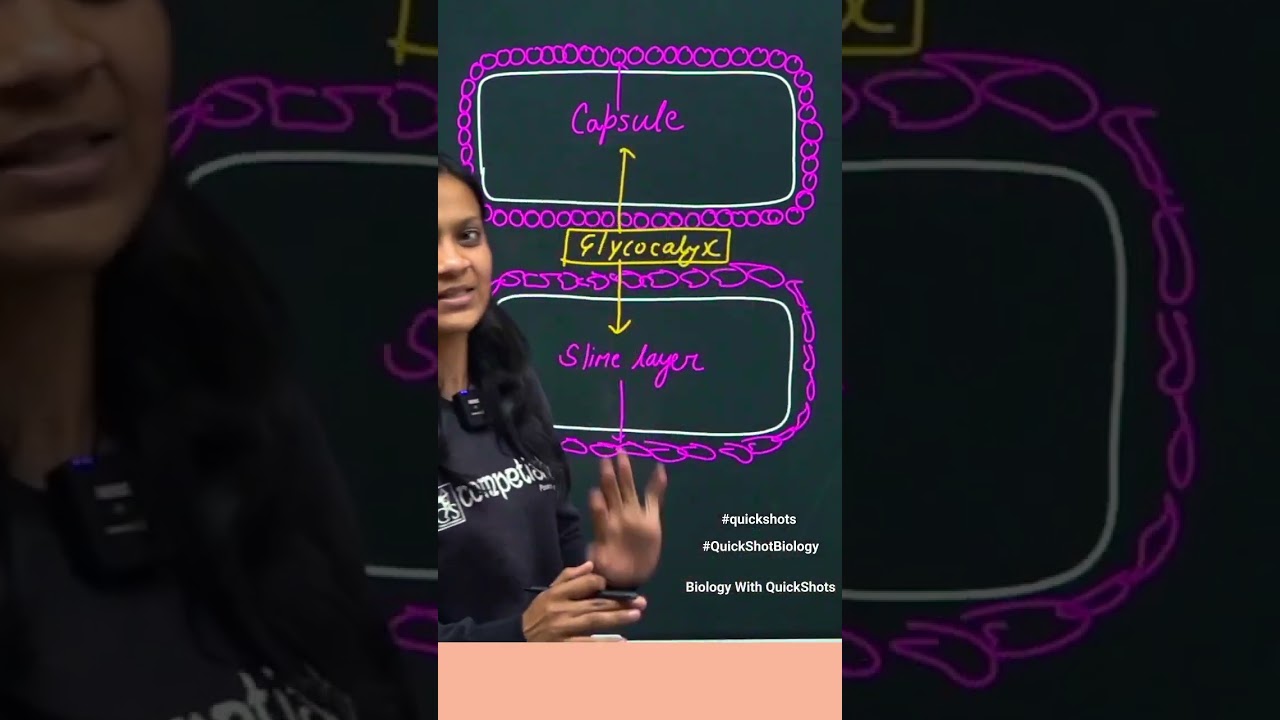 QuickShot Revision for NEET  Exam I Capsule Slime layer Glycocalyx I Poonam ma'am 