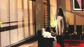 SAAT KU RAPUH choim albar Rhoedal