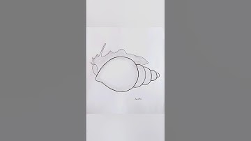 How to draw conch shell (shankha) ll conch shell drawing #shorts #viral #simpleart #easydrawing