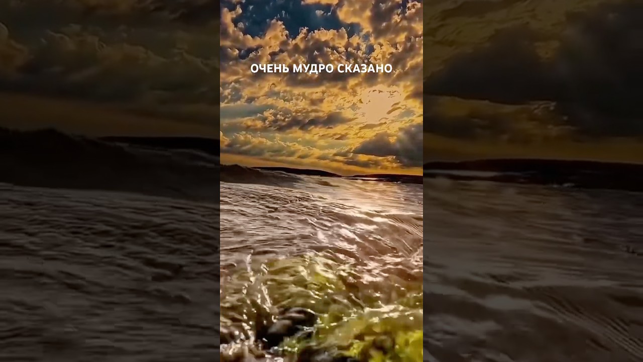 Очень мудро сказано