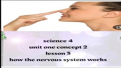 Grade 4 science unit 1 concept 2 lesson 3 How does the nervous system work 2026