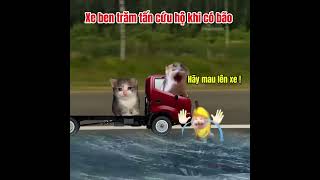 Ben Trăm Tấn Vượt Mặt Cơn Bão