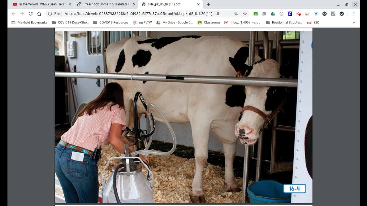 Farm Habitat Picture Talk CKLA Preschool YouTube