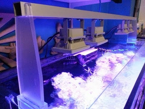Diy Led Reef Light Stand You - Diy Led Reef Aquarium Lighting Diy Led Reef Light Stand You - Diy Led Reef Aquarium Lighting