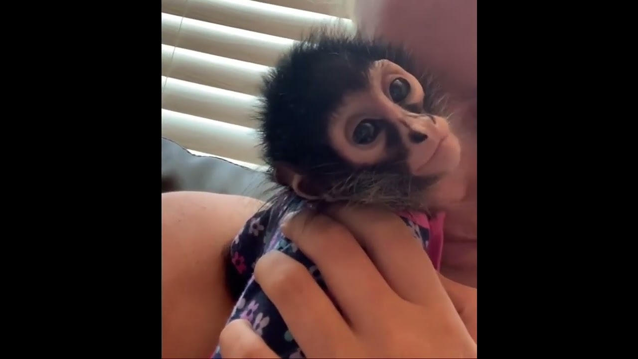 Watch her little eyes close 🥰 