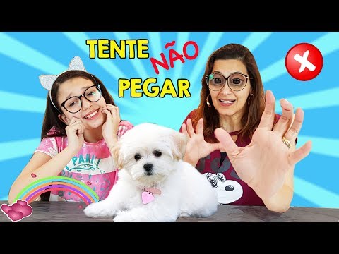 DESAFIO TENTE NÃO PEGAR (TRY NOT TO CATCH CHALLENGE) | Luluca