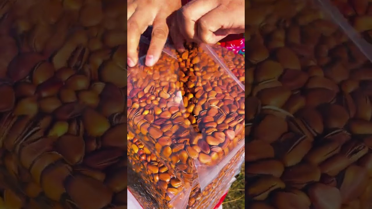 From Whole to Wow: Fruit Cutting Transformation!" Hashtag Ideas: 