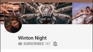 MUST WATCH!! Winton night 👍