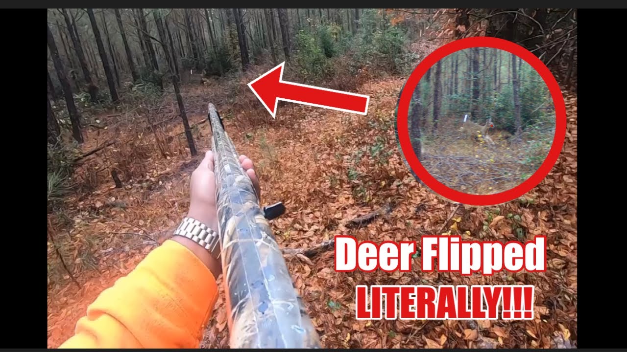 Deer Hunting with Dogs (KILLSHOT) | Season 4: Ep. 3 Doe Flipped - YouTube