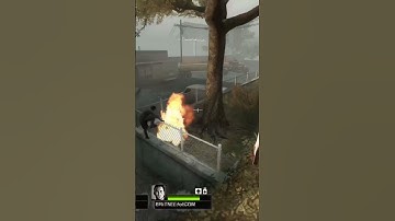 Left 4 Dead 2 but my Melee skeet didn’t work