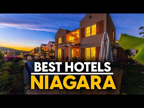 Olympus Trueways | Waldorf Astoria in Las Vegas | Review on the Go | Episode 8 #lasvegashotels #luxury #waldorfastoria