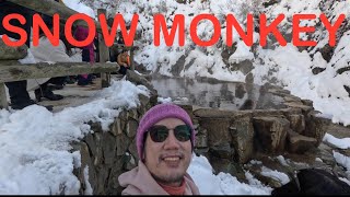 SNOW MONKEY IN NAGANO, JAPAN | JAPAN TRAVEL | GIFU PREFECTURE | CENTRAL JAPAN | DIY FILIPINO TRAVEL @LeonGuerreroTV