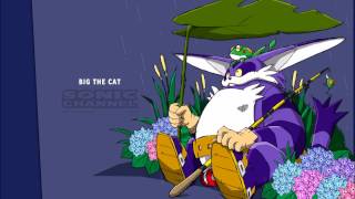 Video thumbnail of "Custom Themes: Big the Cat"