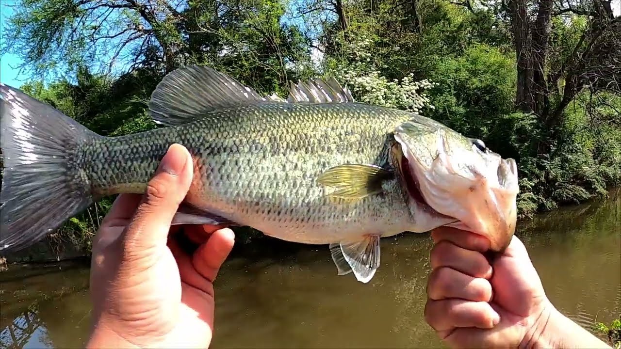 SPRING time fishing for BIG BASS at Rawhide Creek in DALLAS TX
