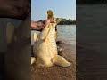 The Future Of Fishing What It Will Look Like In 2026 