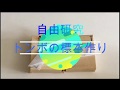【自由研究】昆虫採集トンボの標本作り方　夏休みの宿題などに最適