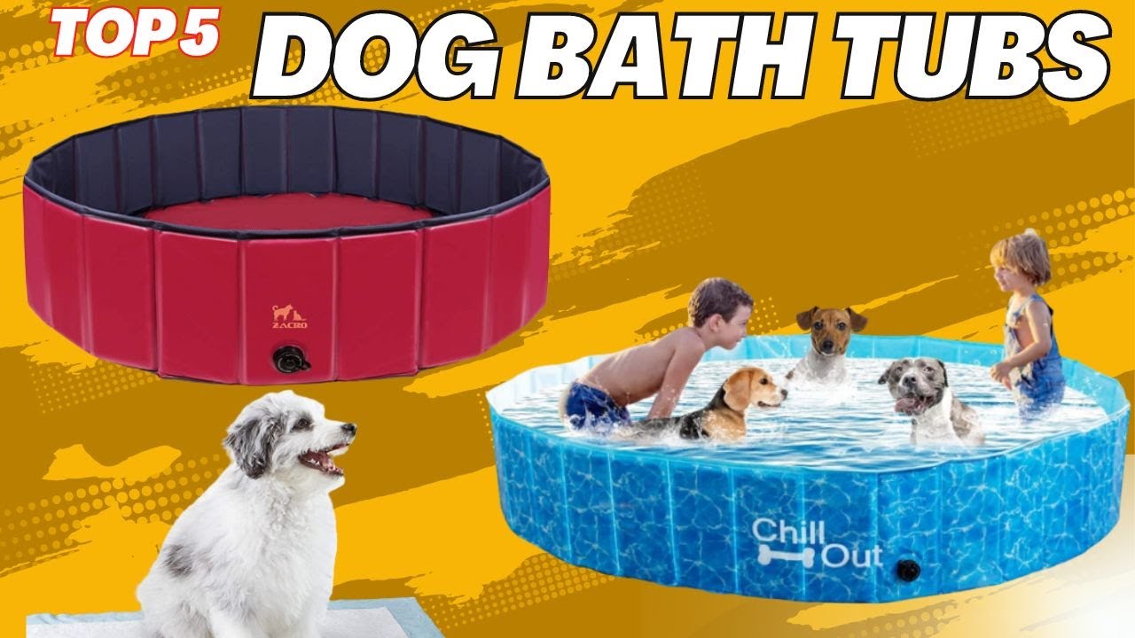 Dog Bath Tubs 5 Best Dog Bath Tubs You Can Buy YouTube