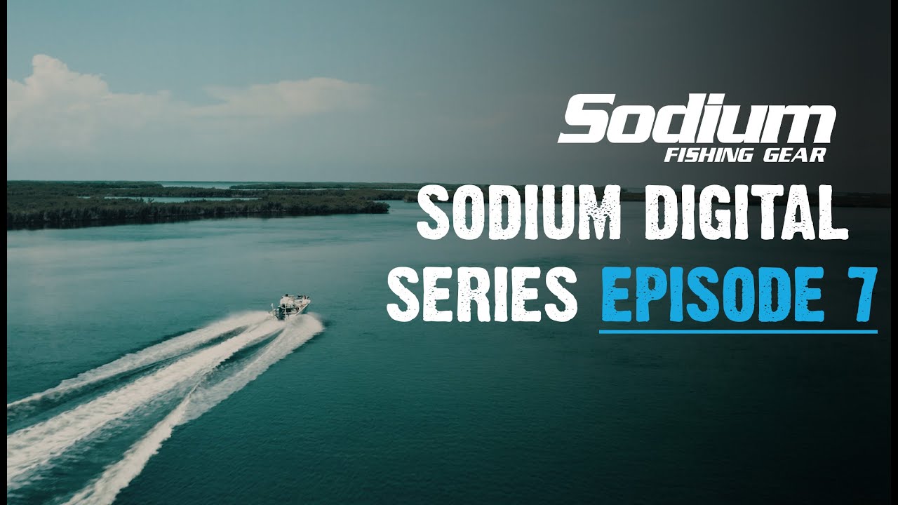 Scalloping In Crystal River Florida | Sodium Digital Series - Episode 7