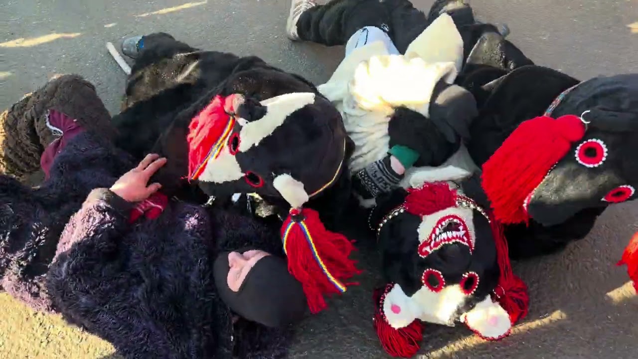 Ursul din Blagesti 2024