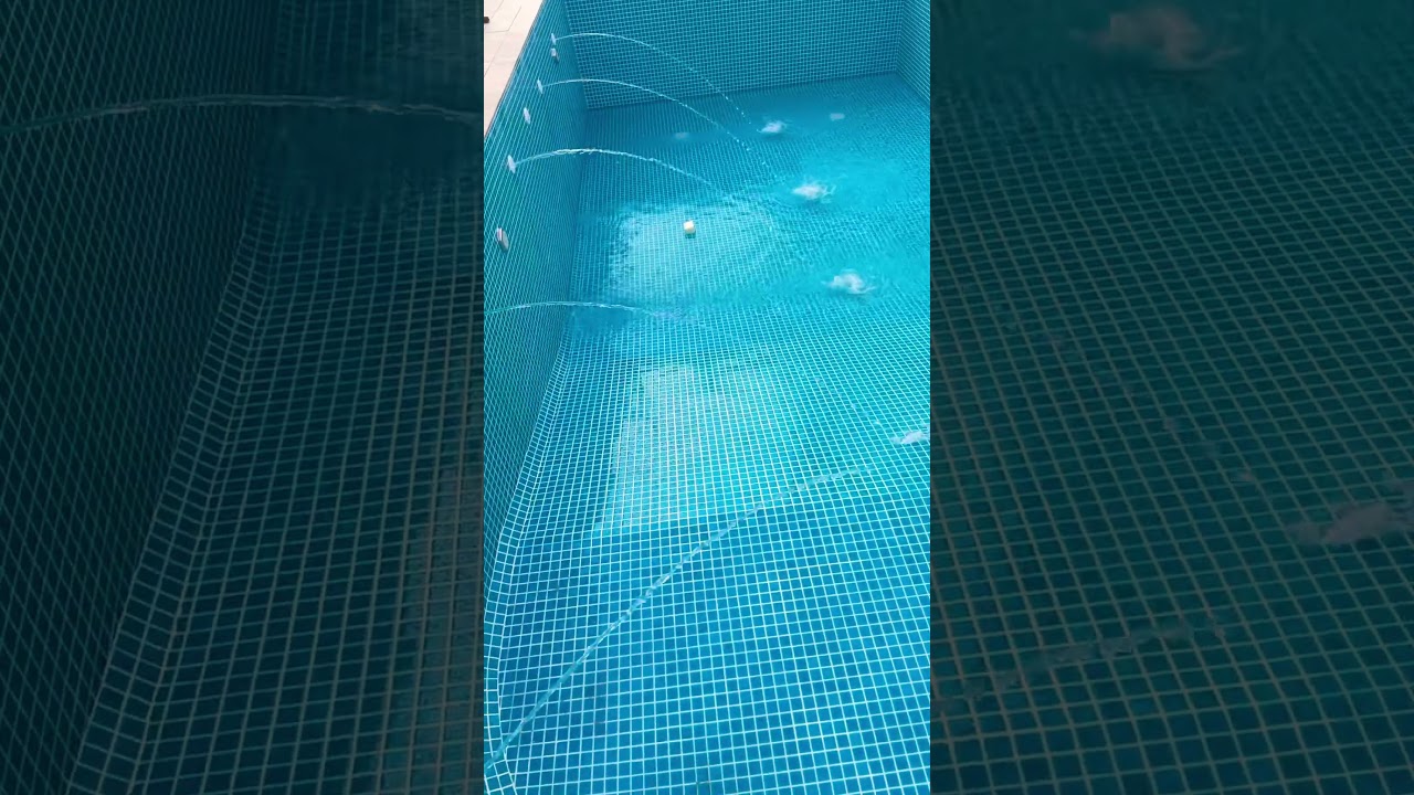 New Swimming pool water Filling.  Very Nice Swimming pool with Nice View in Dubai. 