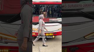 Kaa Angle Pramugari Bus Premium #shortvideo #shorts #bus #busmania #pramugari #bestpremium