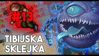 Pl Tibia - Tibijska Sklejka 1 Boss Ponad 500Kk