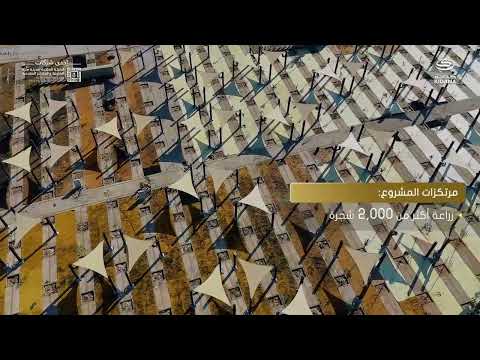 مشروع تظليل وتبريد الساحات المحيطة بمسجد نمرة استعدادات موسم حج 1446ه