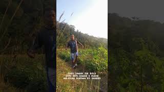 visiting the rice fields #funny #comedy