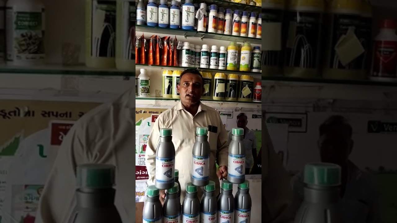 Cibaca farmer review .  Venox agri genetics Pvt. Ltd